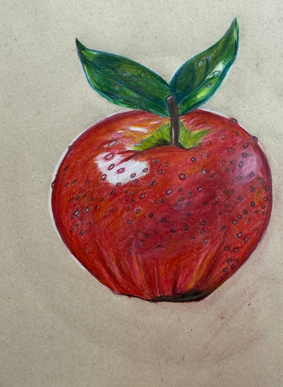 آموزش نقاشی سیاه قلم مونا ثابت